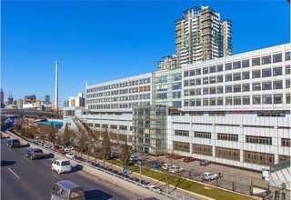 盐湖区钙果树苗供应