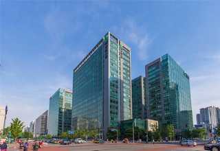 闵行区桦木球场施工材料厂家